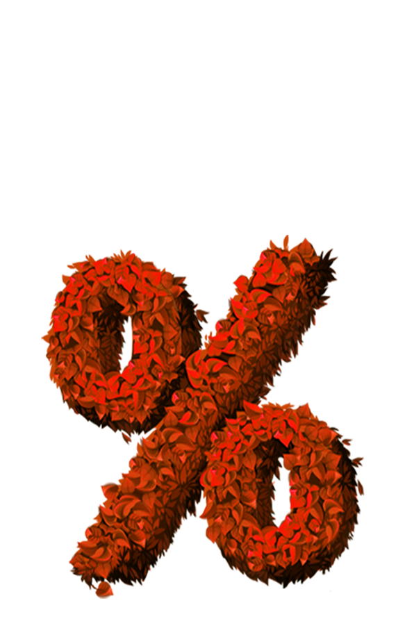 02 copy (3)